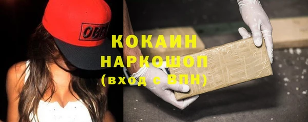 бошки Белокуриха