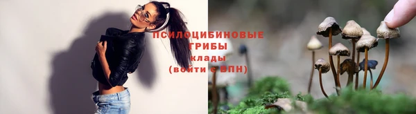 мяу мяу мука Белоозёрский