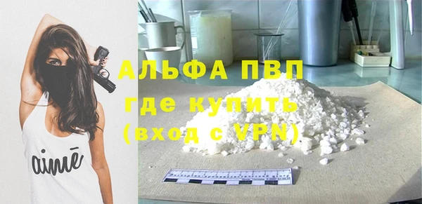 бошки Белокуриха