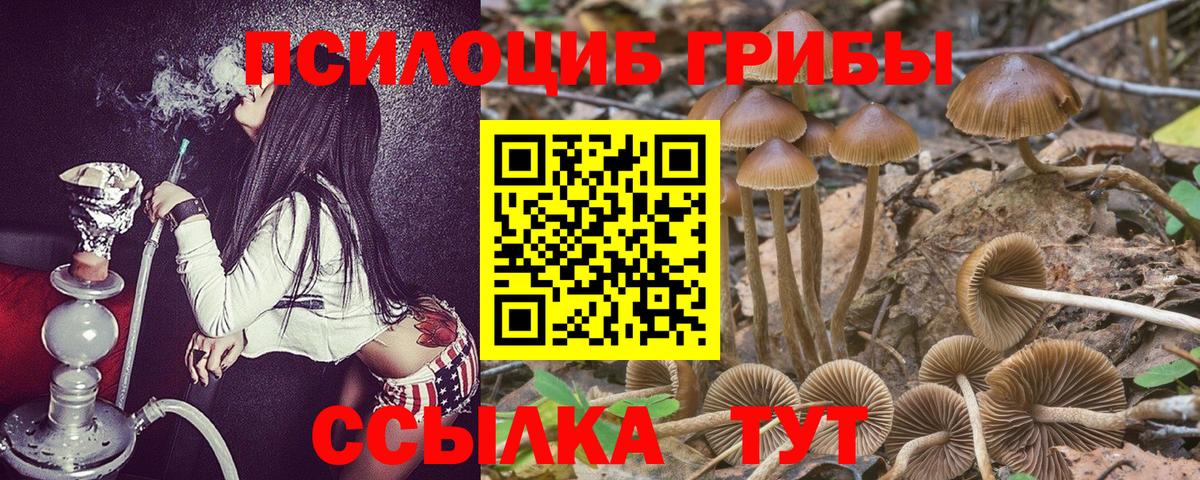 Реутов  Галлюциногенные грибы мицелий  Вход с VPN 